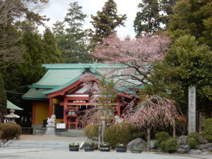 4 新橋浅間神社(2).jpg