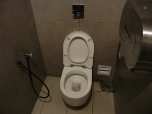 Kuala_Lumpur_airport_toilet.jpg